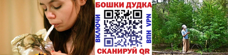 Каннабис сатива  где найти   Жуковский 